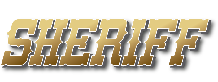 RIFLE DE MUNICIONES
