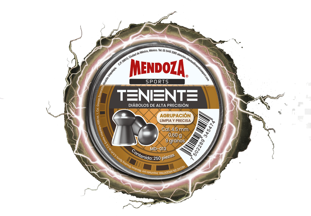 TENIENTE