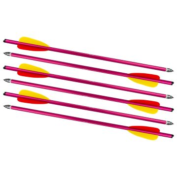 KIT DE 6 FLECHAS DE ALUMINIO PARA BALLESTA DE 120 LBS