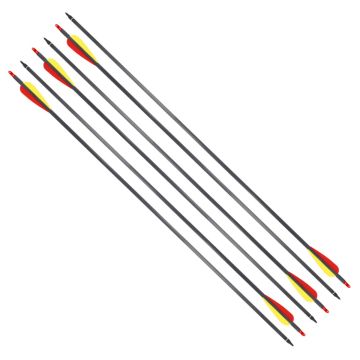 FLECHAS DE FIBRA DE CARBONO 30"